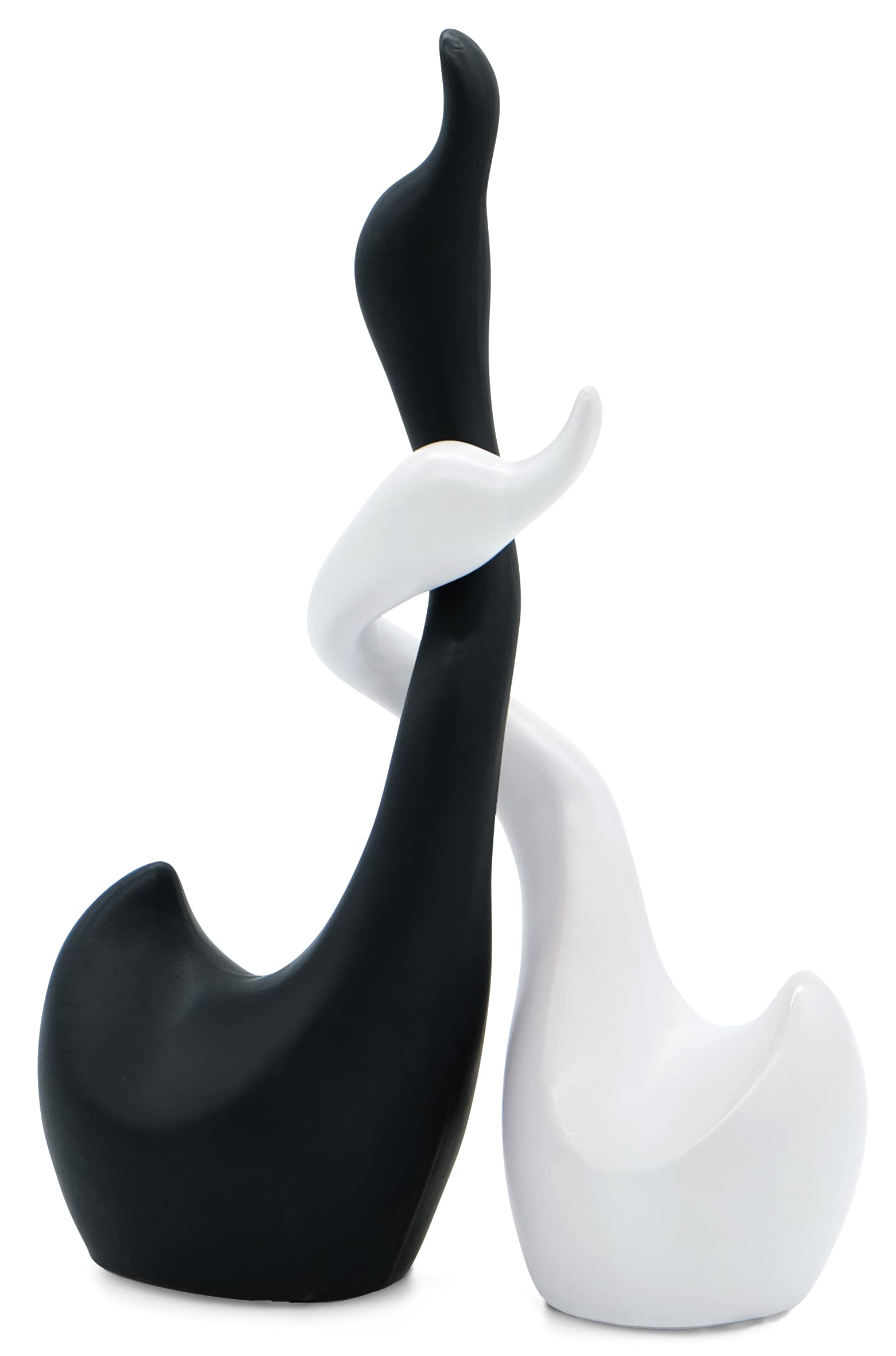 Amazon.com: Vaudagio Loving Swans in Black and White – Decorative